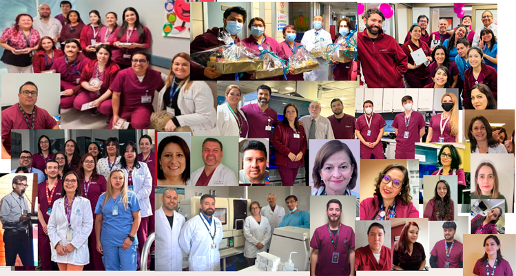 Equipo de Trabajo